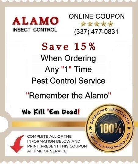 Online Coupon #1